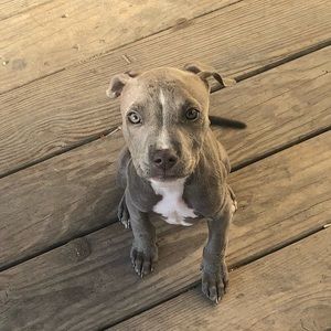 Meet your Posher, Lizeth